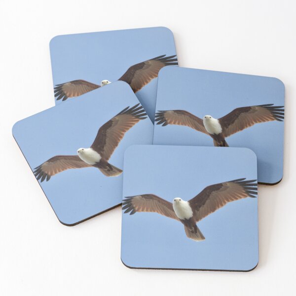 Item preview, Brahminy Kite in flight designed and sold by Mark Grimsley.