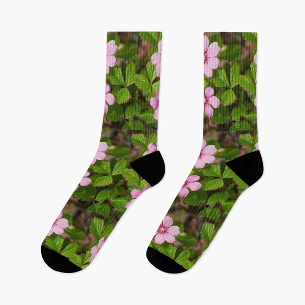 Item preview, Duo. Arctic bramble flowers designed and sold by Jouko Lehto Photography.