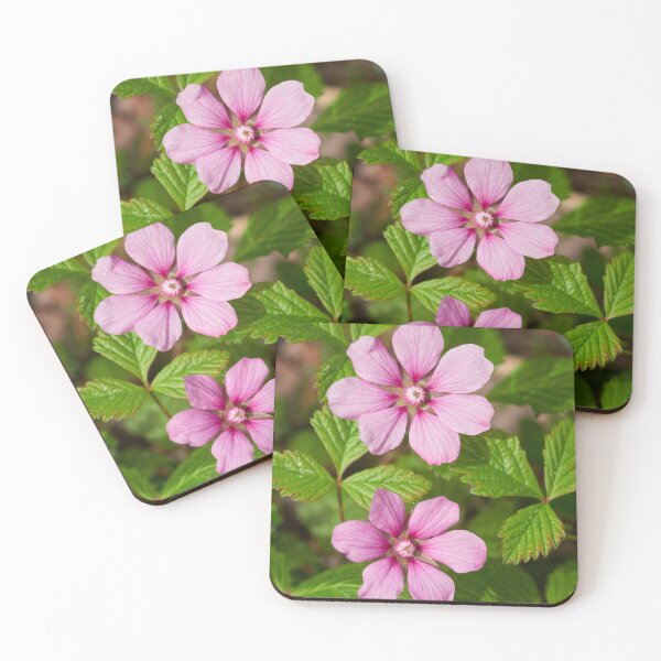 Item preview, Duo. Arctic bramble flowers designed and sold by Jouko Lehto Photography.