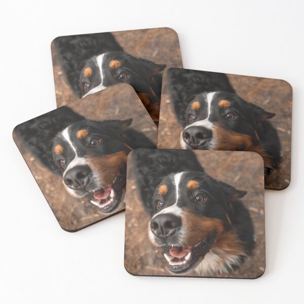 Item preview, portrait of a Bernese Mountain Dog designed and sold by Cannanvisual7.
