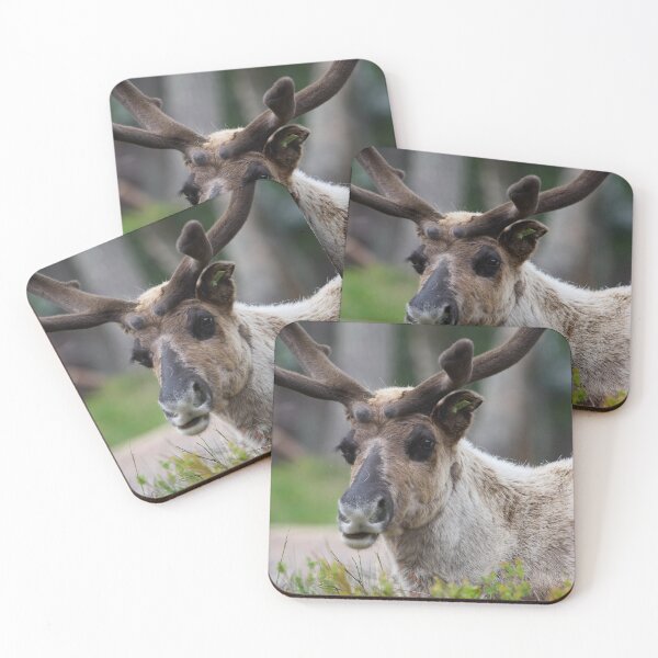 Item preview, Reindeer smile designed and sold by Jouko Lehto Photography.