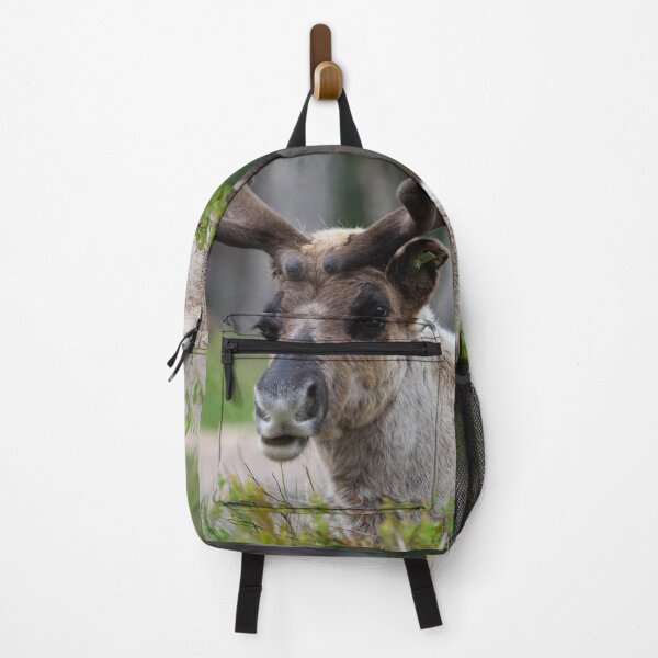 Item preview, Reindeer smile designed and sold by Jouko Lehto Photography.