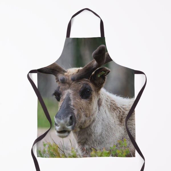 Item preview, Reindeer smile designed and sold by Jouko Lehto Photography.