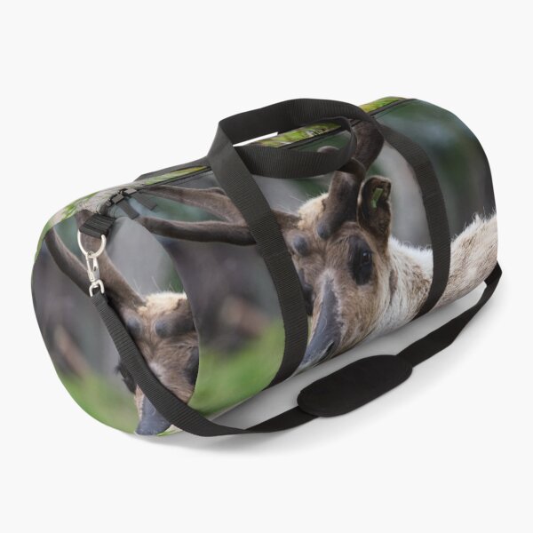 Item preview, Reindeer smile designed and sold by Jouko Lehto Photography.
