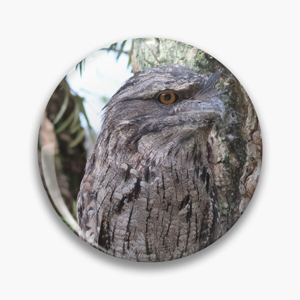 Item preview, Tawny Frogmouth designed and sold by LeanneAllen.