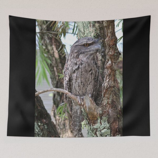 Item preview, Tawny Frogmouth designed and sold by LeanneAllen.