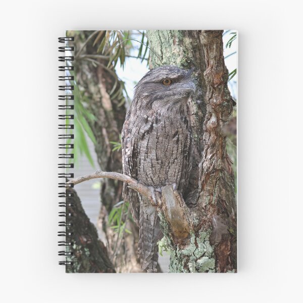 Item preview, Tawny Frogmouth designed and sold by LeanneAllen.