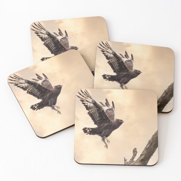 Item preview, Long Crested Eagle designed and sold by MyAfricanSafari.