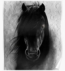 WILD HORSE Poster
