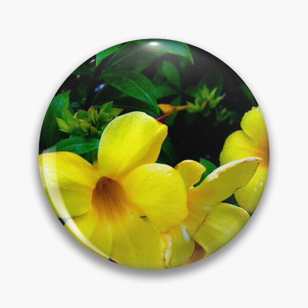 Item preview, Allamanda Cathartica Flower A  designed and sold by MercerImages.