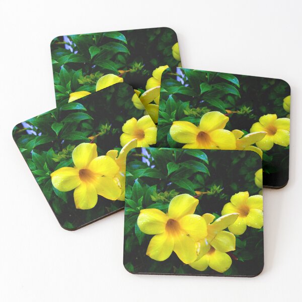 Item preview, Allamanda Cathartica Flower A  designed and sold by MercerImages.