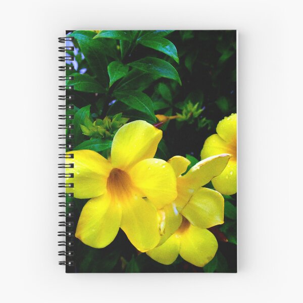 Item preview, Allamanda Cathartica Flower A  designed and sold by MercerImages.