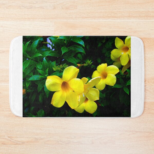 Item preview, Allamanda Cathartica Flower A  designed and sold by MercerImages.
