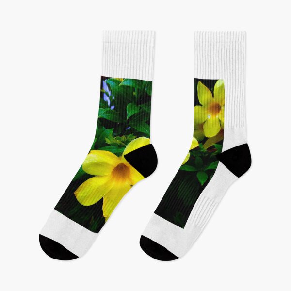 Item preview, Allamanda Cathartica Flower A  designed and sold by MercerImages.