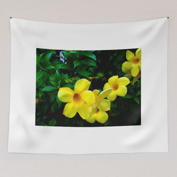 Item preview, Allamanda Cathartica Flower A  designed and sold by MercerImages.