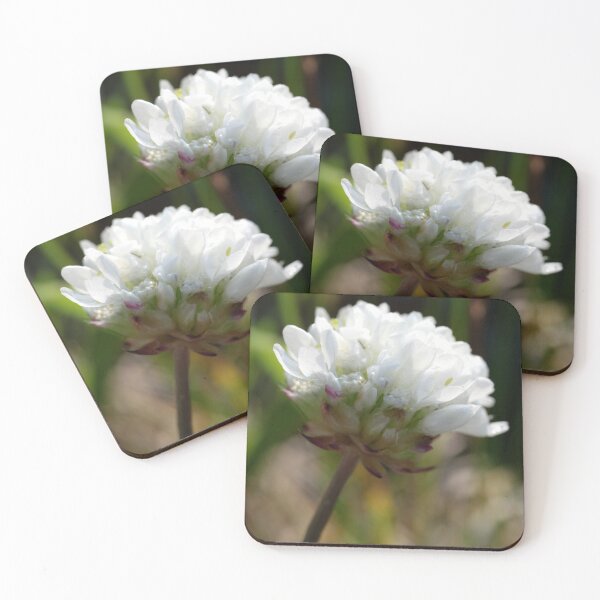 Item preview, White flower as macro shot designed and sold by SabineBeckmann.