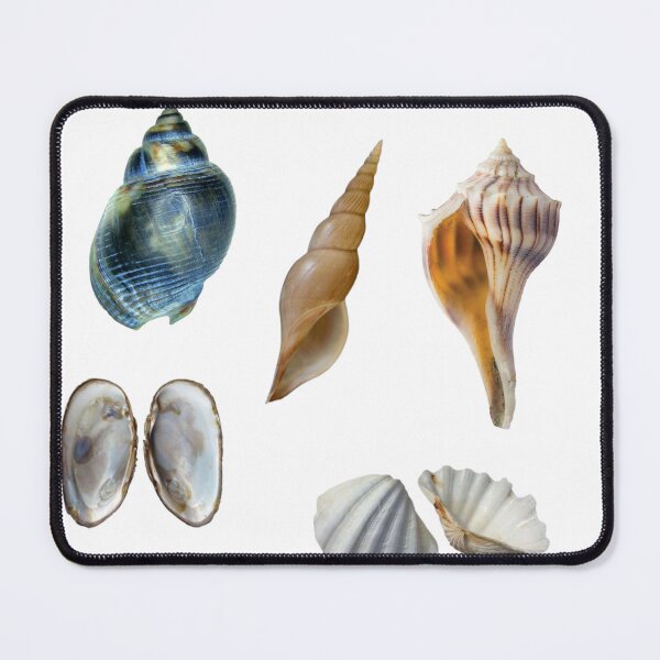 Item preview, Aesthetic seashell Sticker Stickerpack Sticker designed and sold by DoodleDazes.