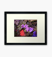 bumble Framed Print