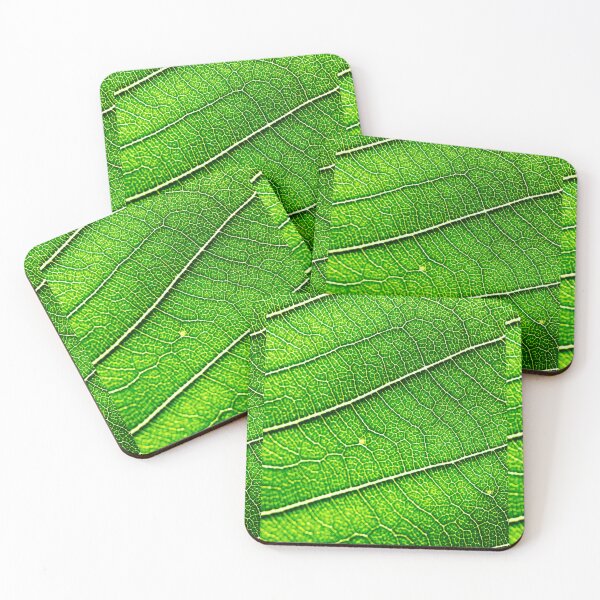 Item preview, LEAF AND PHOTOSYNTHESIS designed and sold by GODLOVES by Isaiah .