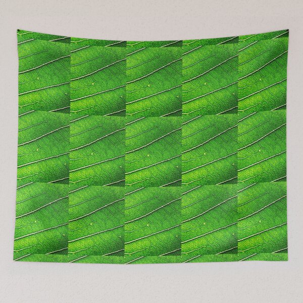 Item preview, LEAF AND PHOTOSYNTHESIS designed and sold by GODLOVES by Isaiah .