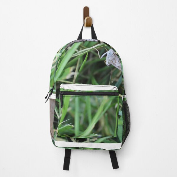 Item preview, Hackberry emperor on a grass blade  designed and sold by McFleur's Lens.