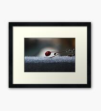 winter Framed Print