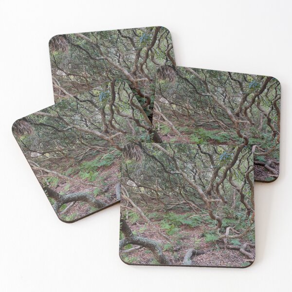 Item preview, Southern Live Oak Tree designed and sold by arishatz.