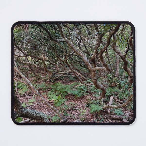 Item preview, Southern Live Oak Tree designed and sold by arishatz.