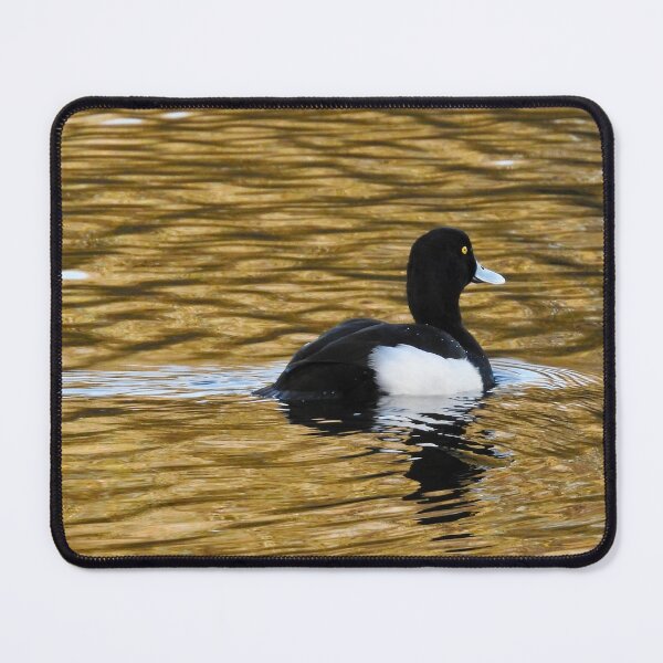 Item preview, Tufted duck on lake designed and sold by CatherineMoore4.