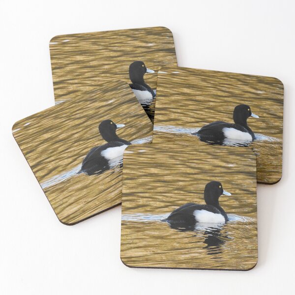 Item preview, Tufted duck on lake designed and sold by CatherineMoore4.