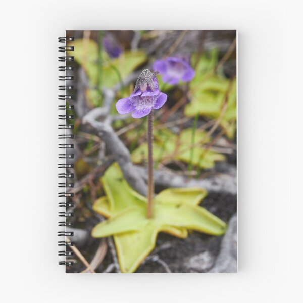 Item preview, All bugs welcome. Common butterwort designed and sold by Jouko Lehto Photography.