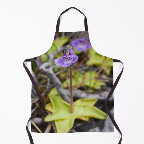 Item preview, All bugs welcome. Common butterwort designed and sold by Jouko Lehto Photography.