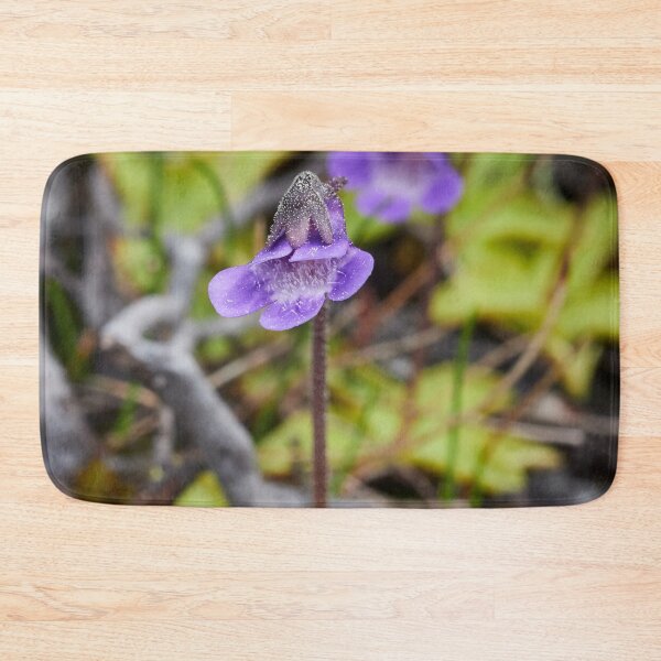 Item preview, All bugs welcome. Common butterwort designed and sold by Jouko Lehto Photography.
