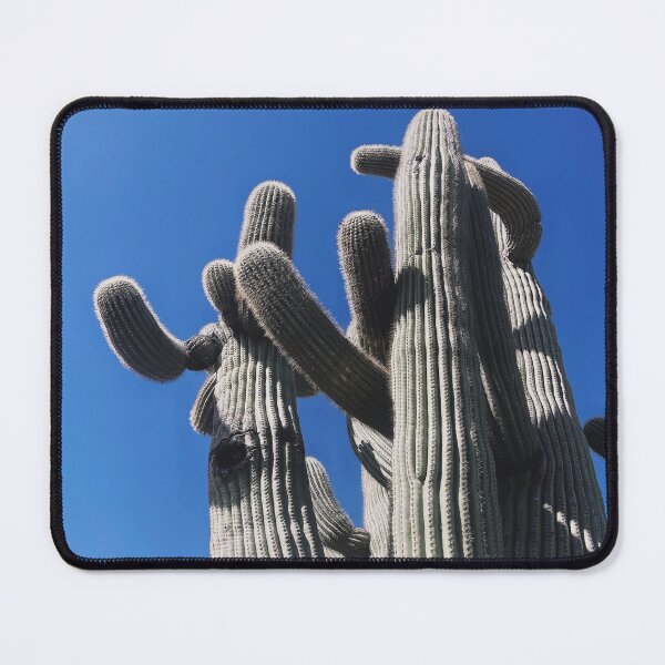 Item preview, Saguaros designed and sold by Jason Tompkins.