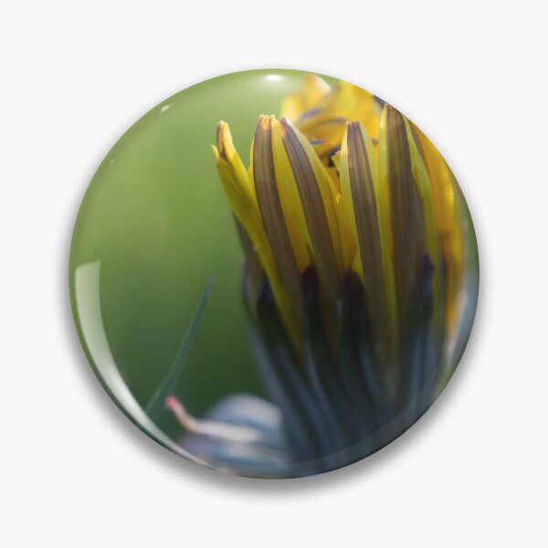 Item preview, Dandelion designed and sold by Calidris Fotografie Steffi & Ben Köppler.