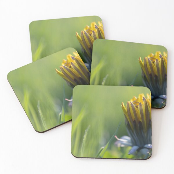 Item preview, Dandelion designed and sold by Calidris Fotografie Steffi & Ben Köppler.