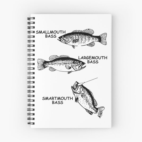 Item preview, Bass Fish Identification   designed and sold by TheLeeryLeaf.