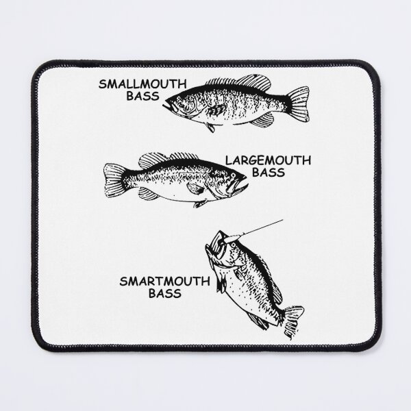 Item preview, Bass Fish Identification designed and sold by TheLeeryLeaf.