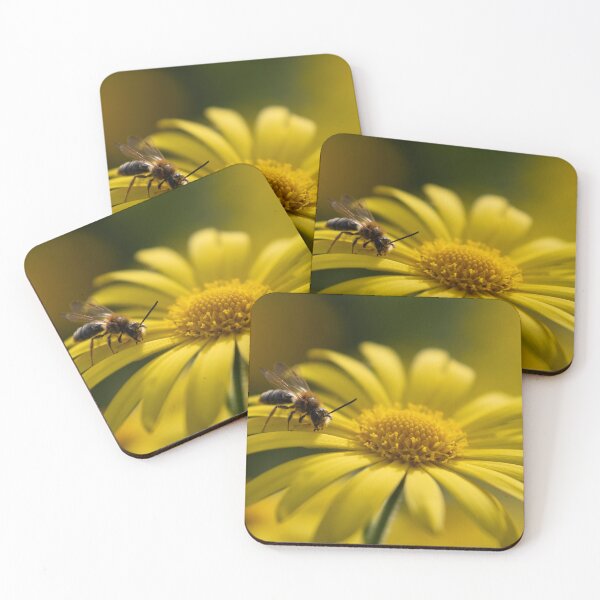 Item preview, Wasp on yellow flower designed and sold by Calidris Fotografie Steffi & Ben Köppler.