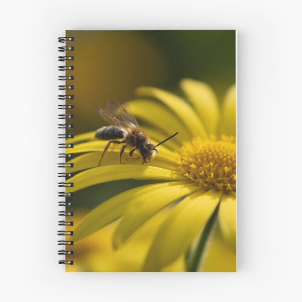Item preview, Wasp on yellow flower designed and sold by Calidris Fotografie Steffi & Ben Köppler.