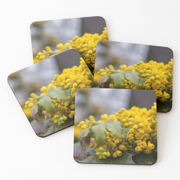 Item preview, Holly-leaved berberry designed and sold by Calidris Fotografie Steffi & Ben Köppler.