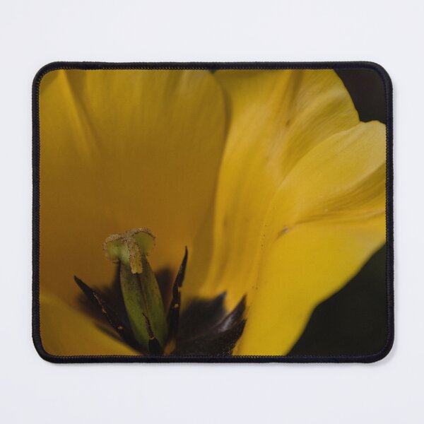 Item preview, Tulip designed and sold by Calidris Fotografie Steffi & Ben Köppler.
