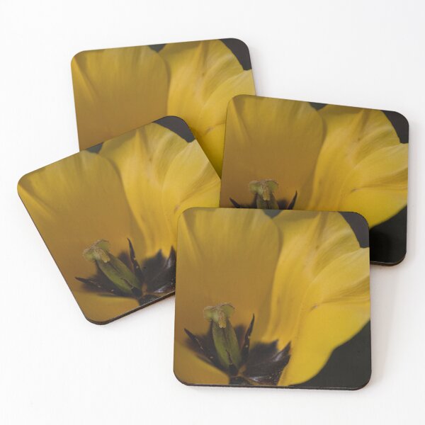 Item preview, Tulip designed and sold by Calidris Fotografie Steffi & Ben Köppler.