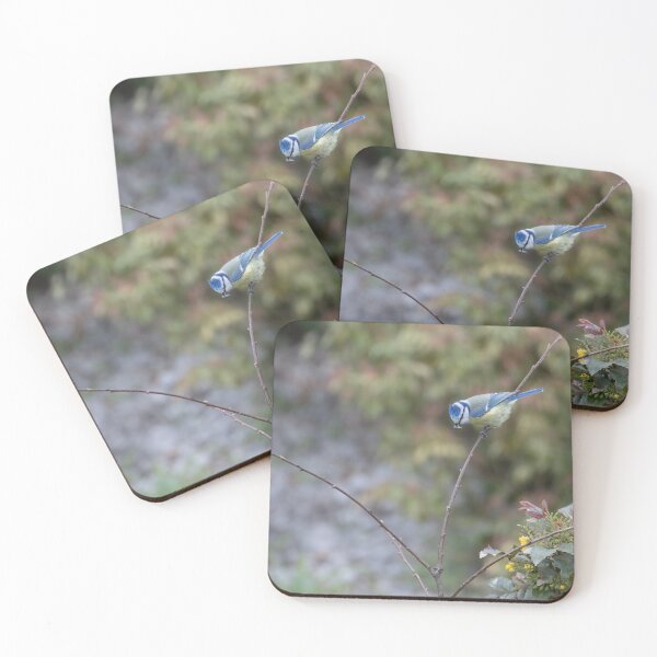 Item preview, Eurasian blue tit designed and sold by Calidris Fotografie Steffi & Ben Köppler.