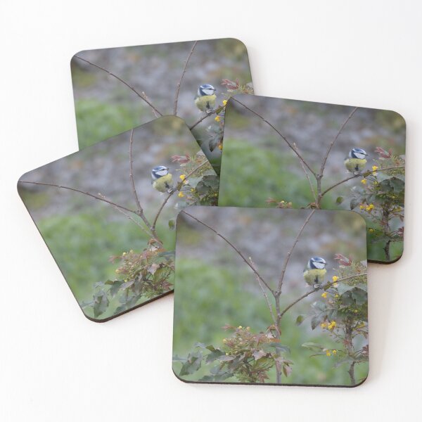 Item preview, Eurasian blue tit designed and sold by Calidris Fotografie Steffi & Ben Köppler.