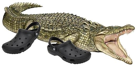 crocodile with crocs