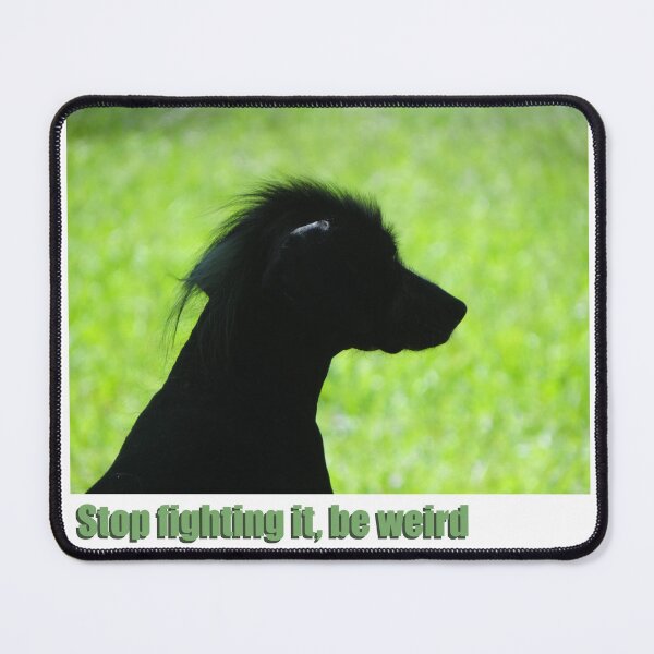 Item preview, Weird bald dog designed and sold by HenryLt4.