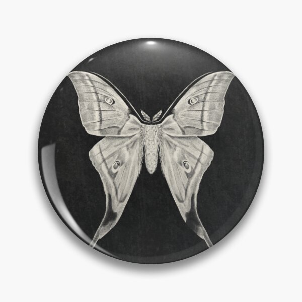 Item preview, Lunar Moth Taxidermy Sketch designed and sold by deliawayball.