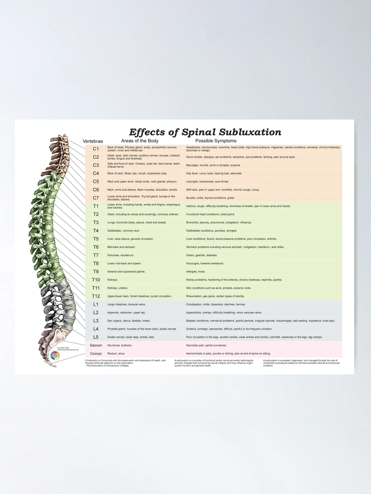 Spinal Nerve Chart With Effects Of Vertebral Subluxations