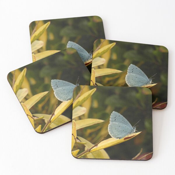 Item preview, Adonis Blue designed and sold by Fay Freshwater.